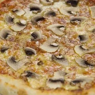 Funghi freschi