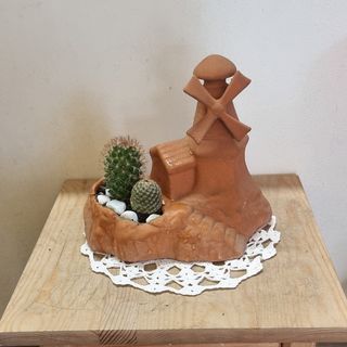 Cactus 