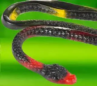 Soft Serpente 23 cm 