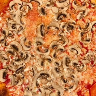 Funghi