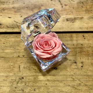 Caja pequeña de rosa preservada de color rosa