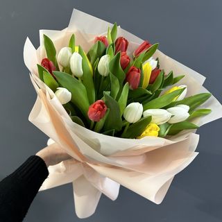 25 тюльпанів