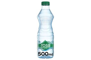 Rosa gazirana