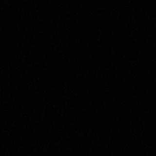 Filetto al pepe verde