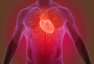 Cardiovascular analysis