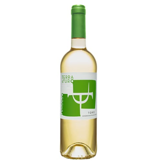 Vino Terra Blanco 75Cl