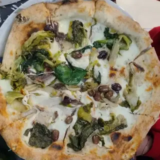 Scarola