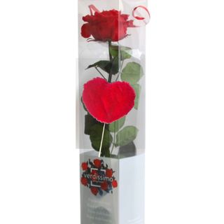 Rosa eterna mediana roja con pin corazón.