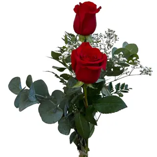 Ramo De 2 Rosas Rojas