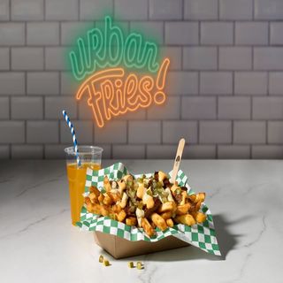 LOADED FRIES Delux