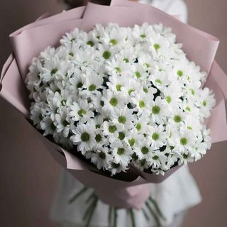 Biała chmurka 15 margaretek