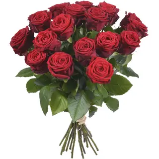 12 Rose Rosse