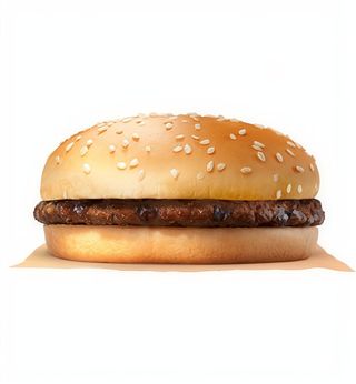 Solo Hamburguesa 125g