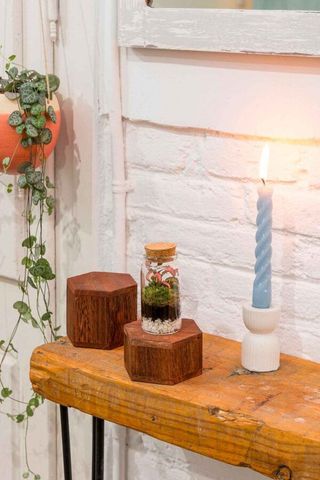 Mini Terrario 10x4 cm