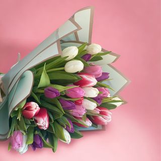 Buchet 25 Lalele Colorate