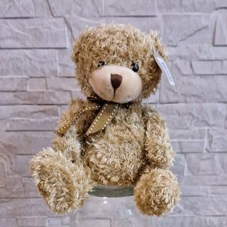 osito de peluche 