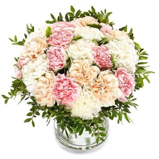 Bukiet z 18 "Pastelowych Goździków" 