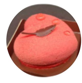 Mousse Yogurt i Gerds