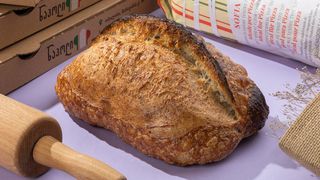 ავსტრიული უსაფუარო 0.600გ