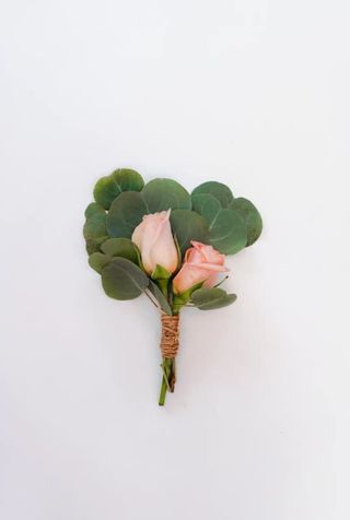 ვარდი ევკალიპტი 