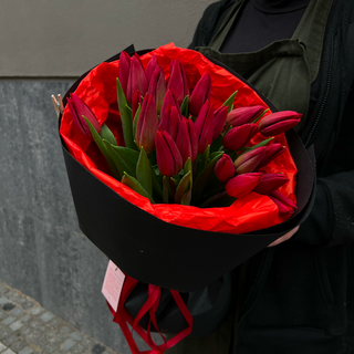 25 тюльпанів Strong Love