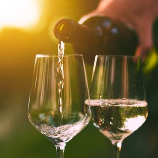 Vino Pinot Grigio  (750 Ml.)