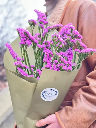 სტატიცები