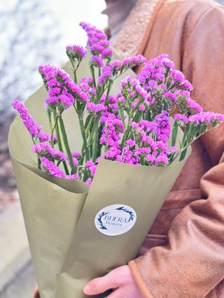 სტატიცები