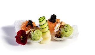 70 Conchiglia salmone - 2 pezzi