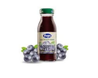 Succo senza - Mirtilli (16 oz.)