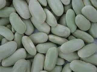 Faba Verdina De Lourenzá (500 Gr Aprox)