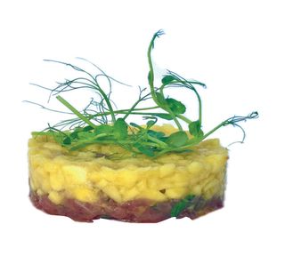 557. Tartare tonno special