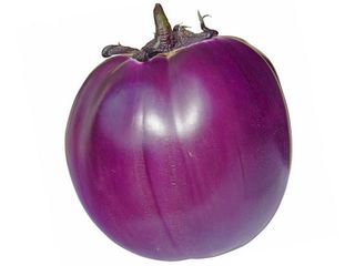 Melanzane viola
