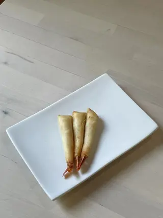 F72 Crepe Gamba