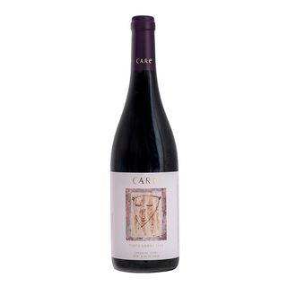 Vino Tinto Care Roble