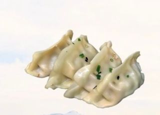 13.Gyoza De Carne (5 Uds.)