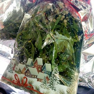 Vischio bustina di portafortuna