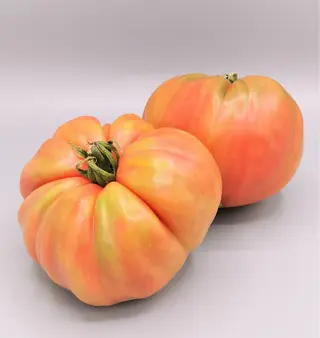 Tomate Barbastro 1Kg (2-3  Uds.)