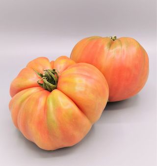 Tomate Barbastro 1Kg (2-3  Uds.)