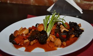 Pui cu urechi de lemn