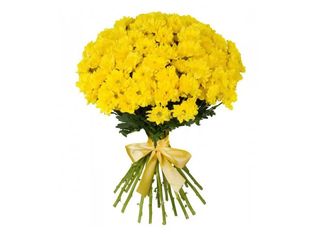 15 Хризантеми, Жълти | 1 pieces