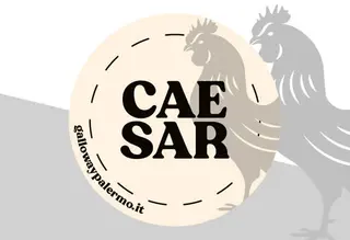 Salsa Caesar