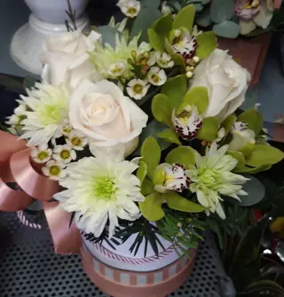 Box 1