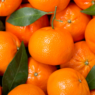 Mandarina Nadorcott BÍO