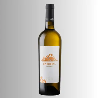 Extrema Falanghina