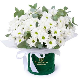 Композиція "Білосніжна гармонія" 