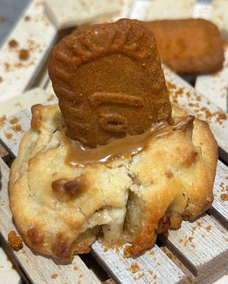 Cookie Lotus Coulant