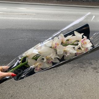 თეთრი ორქიდეა 