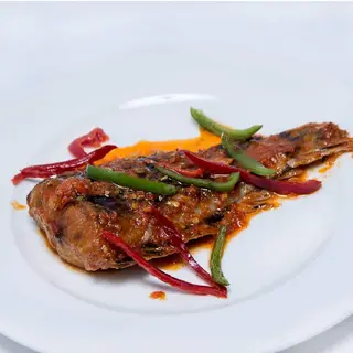 Croaker Fish