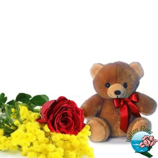 Rossa rossa con mimosa e orsetto